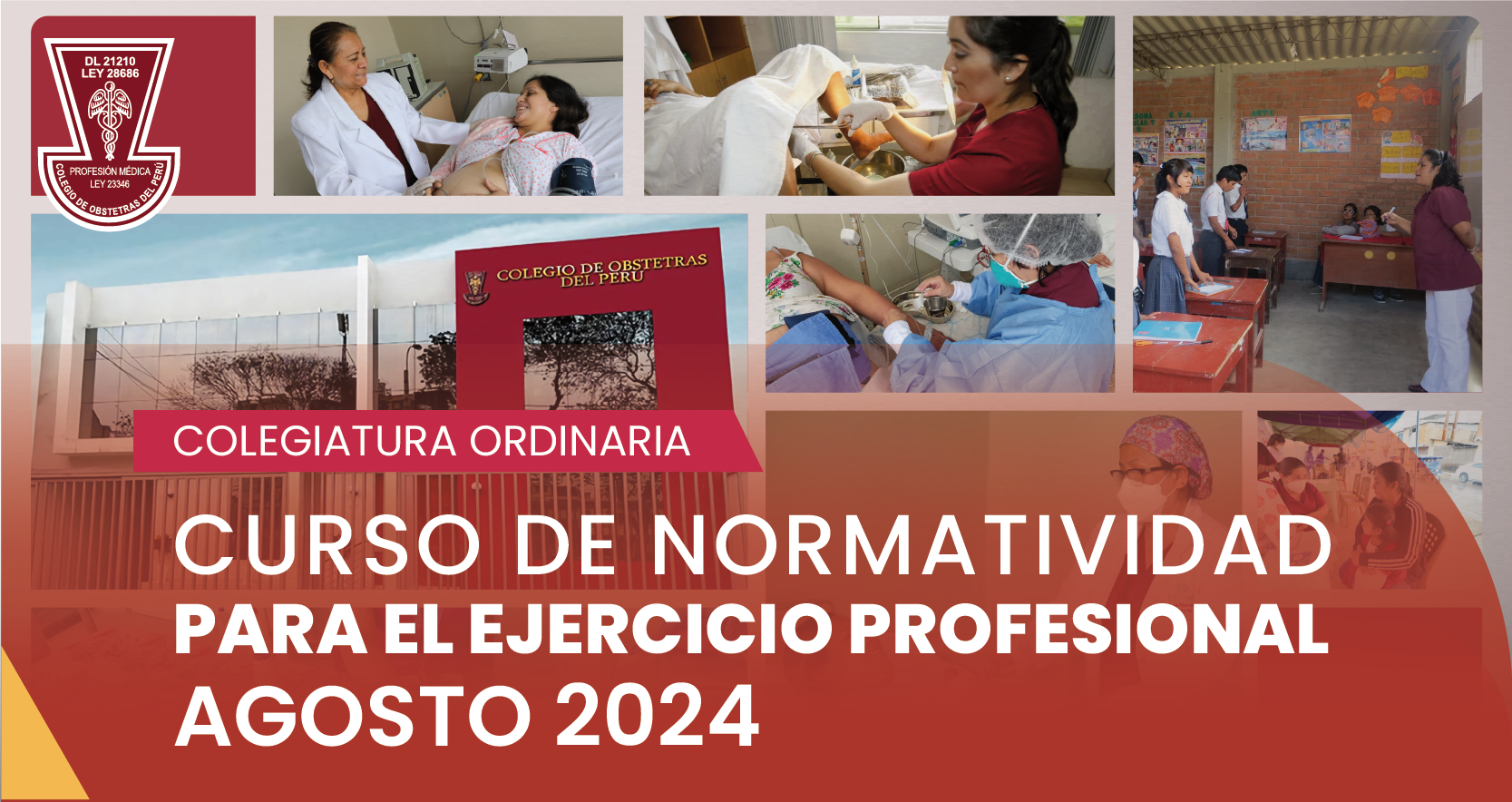 CURSO DE NORMATIVIDAD PARA EL EJERCICIO PROFESIONAL- PROCESO ORDINARIO AGOSTO 2024