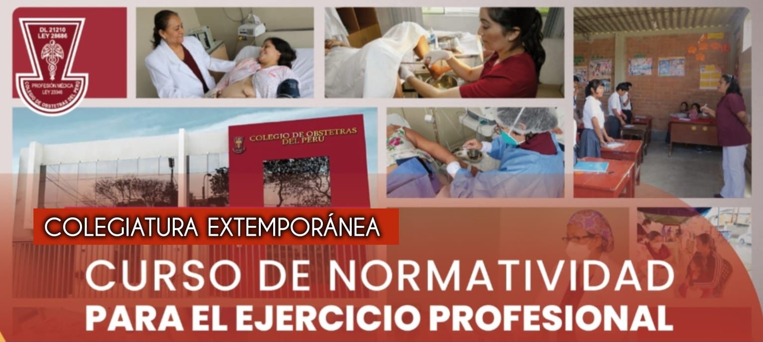 CURSO DE NORMATIVIDAD PARA EL EJERCICIO PROFESIONAL- PROCESO EXTEMPORANEO AGOSTO 2024