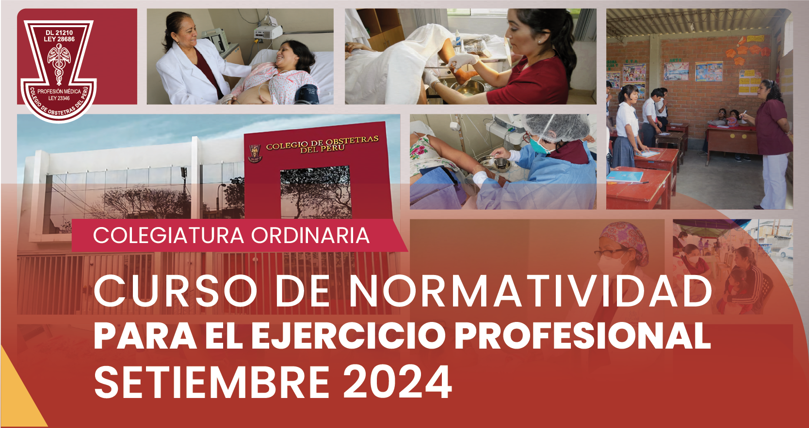 CURSO DE NORMATIVIDAD PARA EL EJERCICIO PROFESIONAL- PROCESO ORDINARIO SETIEMBRE 2024