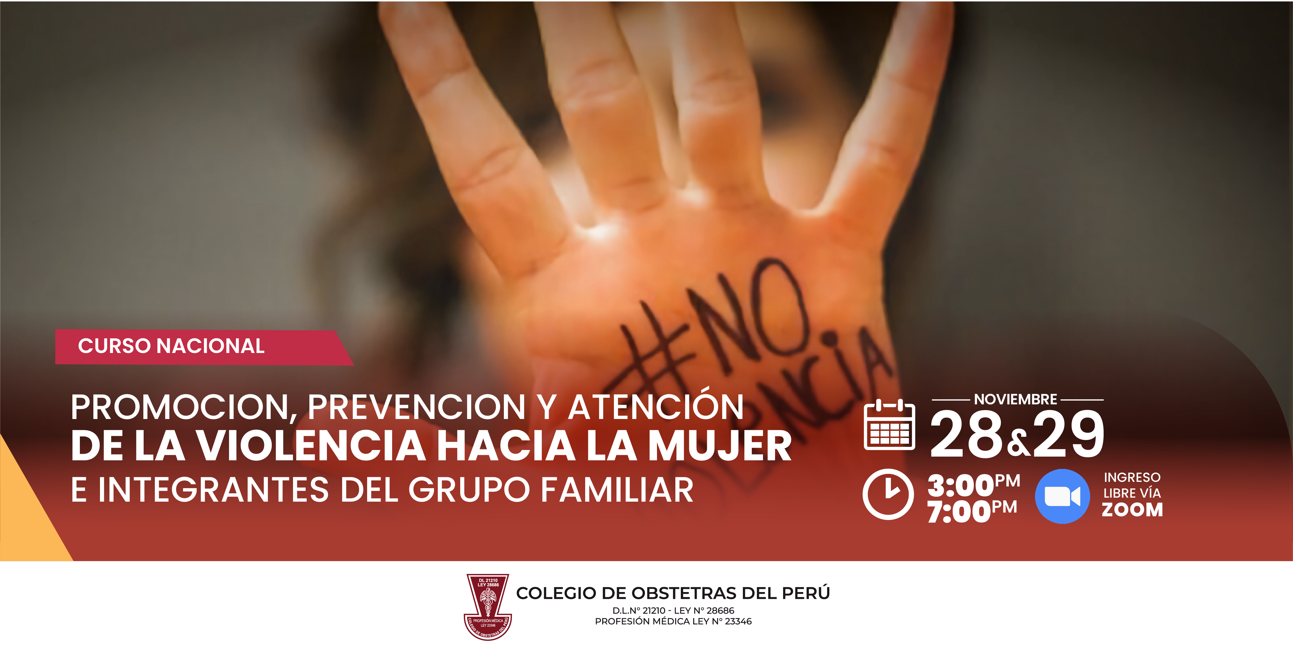 CURSO NACIONAL  PROMOCION, PREVENCION Y ATENCION DE LA VIOLENCIA HACIA LA MUJER E INTEGRANTES DEL GRUPO FAMILIAR