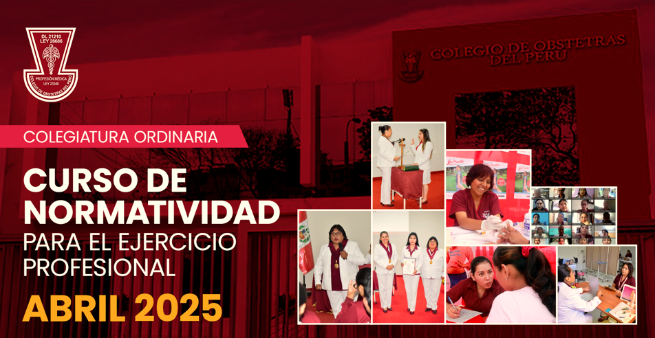CURSO DE NORMATIVIDAD PARA EL EJERCICIO PROFESIONAL- PROCESO ORDINARIO ABRIL 2025