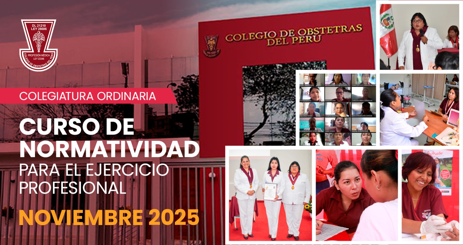 CURSO NORMATIVIDAD PARA EL EJERCICIO PRFESIONAL NOVIEMBRE 2025